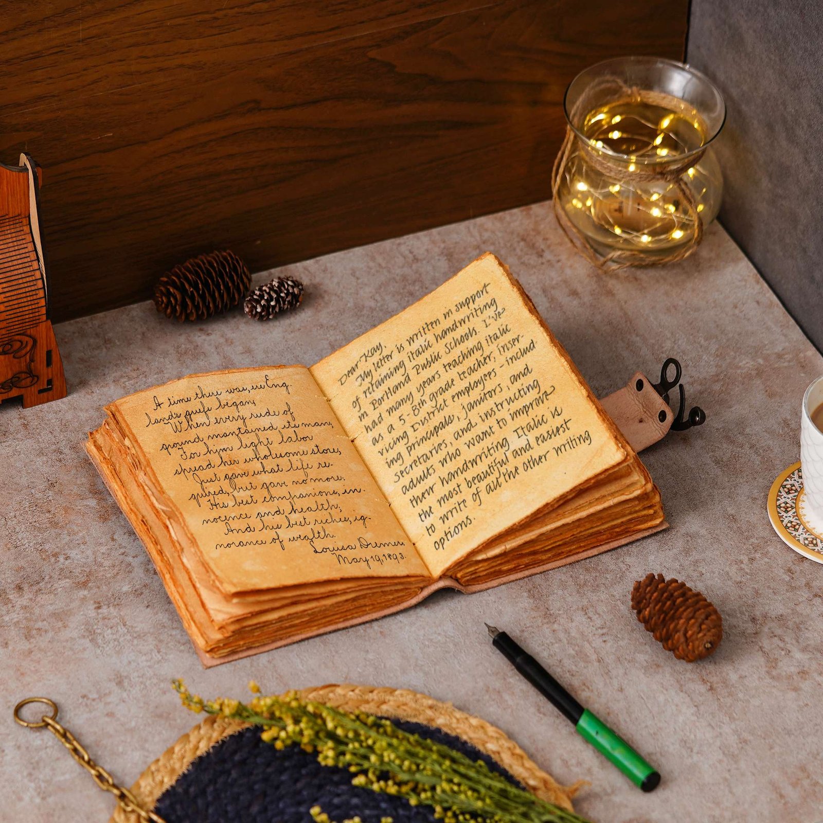 Diary - Image 5